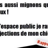 Affiche je ramasse les déjections de mon chien - Holnon 2025